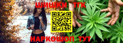 apvp Кингисепп