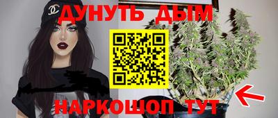 apvp Кингисепп