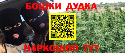 apvp Кингисепп