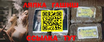 apvp Кингисепп