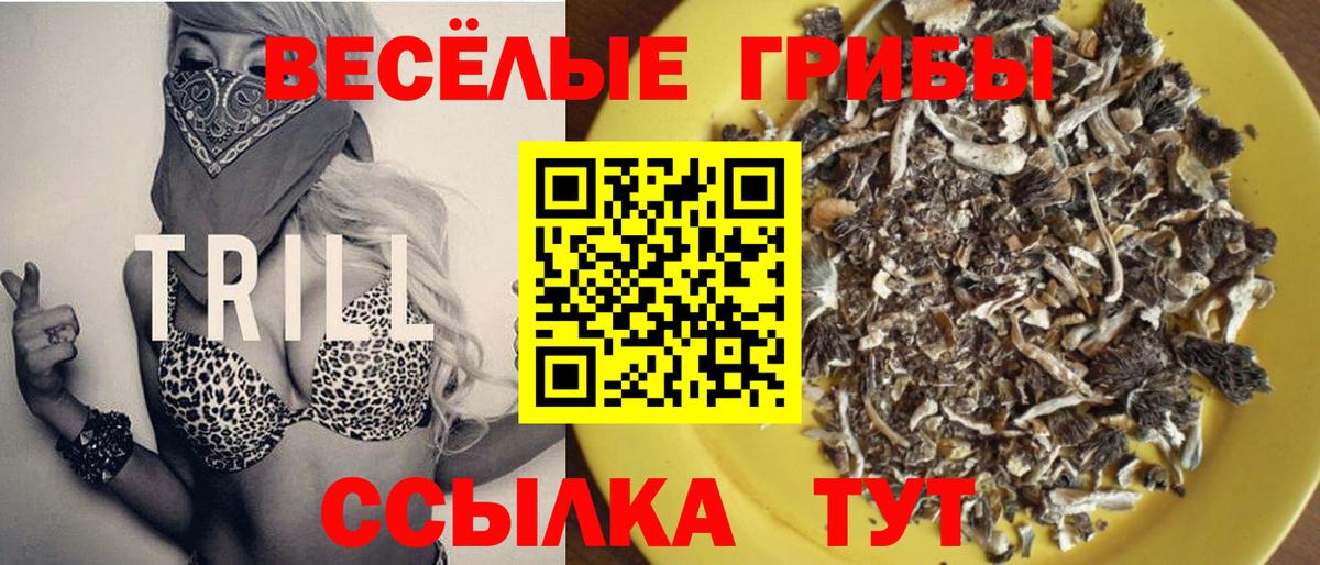 Галлюциногенные грибы мухоморы Десногорск